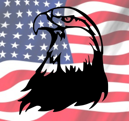 American Bald Eagle