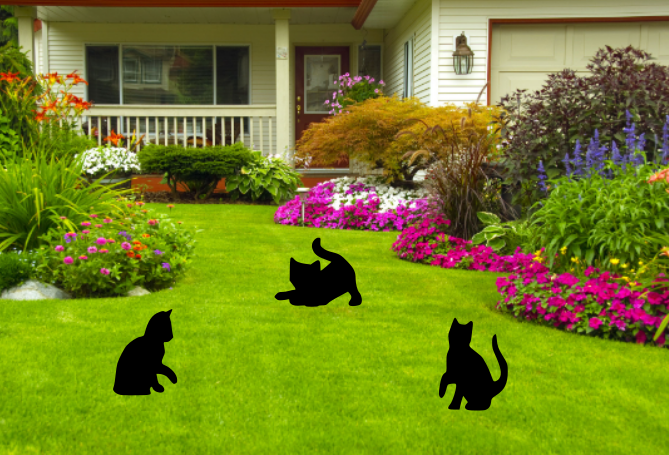 Kitten Garden Silhouettes