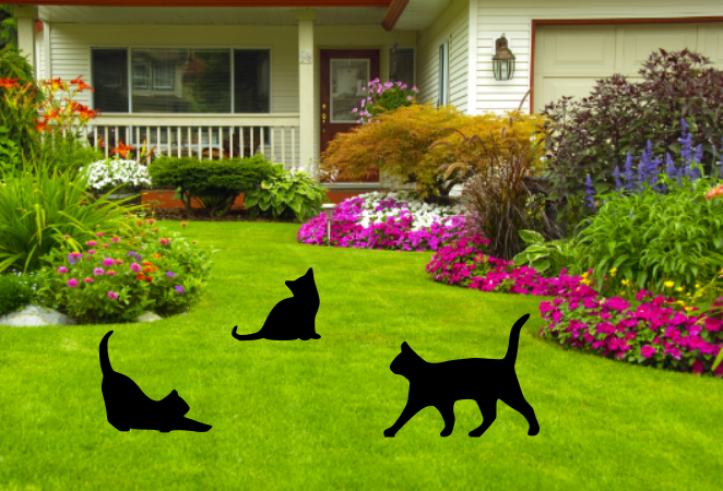 Playful Cat Garden Silhouettes