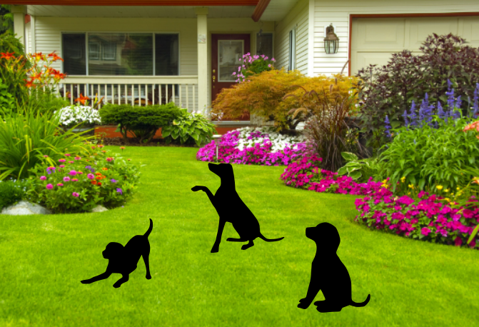 Playful Dog Garden Silhouettes